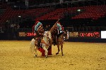 Quadrille - 00368